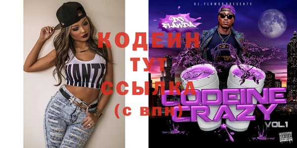 молекула духа Майский