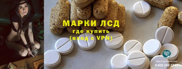 ПСИЛОЦИБИНОВЫЕ ГРИБЫ Аркадак